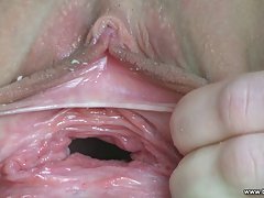 Катрин Фокс и Никол Фокс обвързването Тагове екип каишка