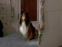 sexyamy хардкор ремарке