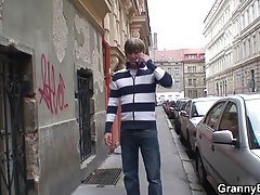 голям синигер маце поема огромен черен петел