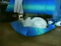 рогоносец съпругът часовници както жена му пожелае друг мъж