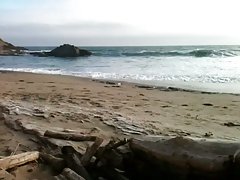 обучение housslave