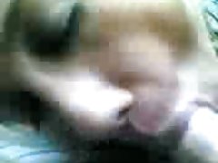 Любителски домакиня любов вземане!!